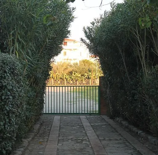 Maracaibo 卡里亚蒂