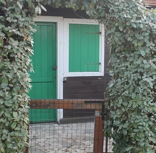 Maracaibo 卡里亚蒂