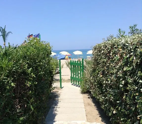 Maracaibo 卡里亚蒂