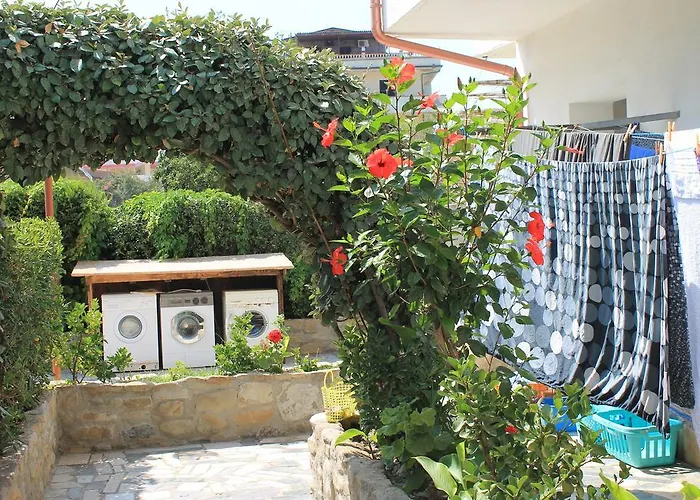 Maracaibo * 卡里亚蒂