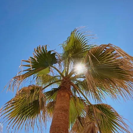 بيت للعطل Maracaibo *