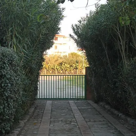 Maracaibo 카리아티