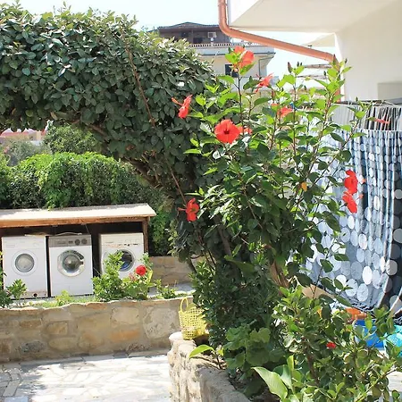 Maracaibo * 카리아티