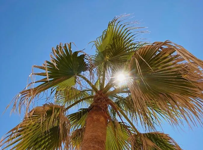 Feriehus Maracaibo *